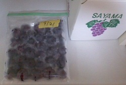 20120921-2.jpg